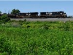 NS 4275